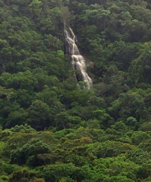 Imagem do WhatsApp de 2025-10-01 à(s) 13.37.04_827e72a4