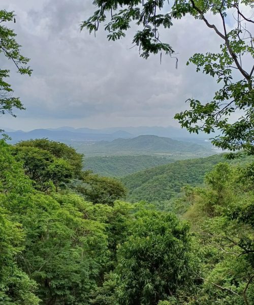 Imagem do WhatsApp de 2025-10-01 à(s) 13.37.04_f2b638a1