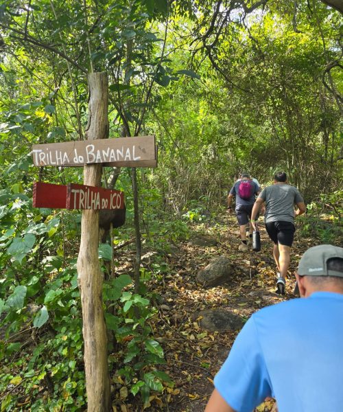 Imagem do WhatsApp de 2025-10-01 à(s) 13.37.05_a9d2cc62