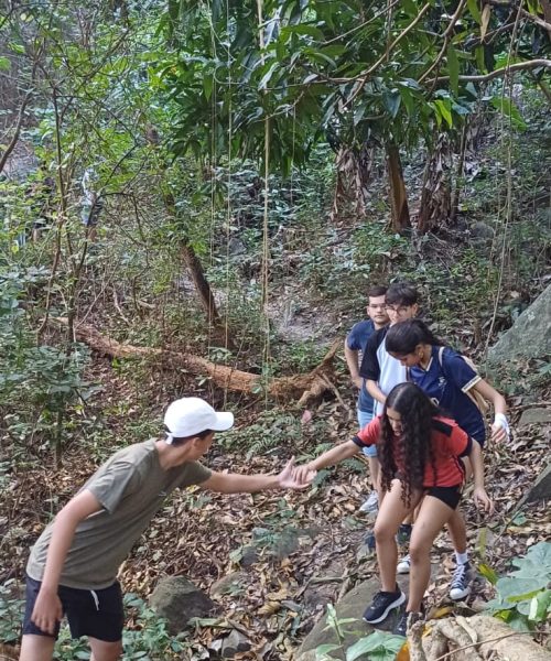 Imagem do WhatsApp de 2025-10-01 à(s) 13.37.05_b8976f32